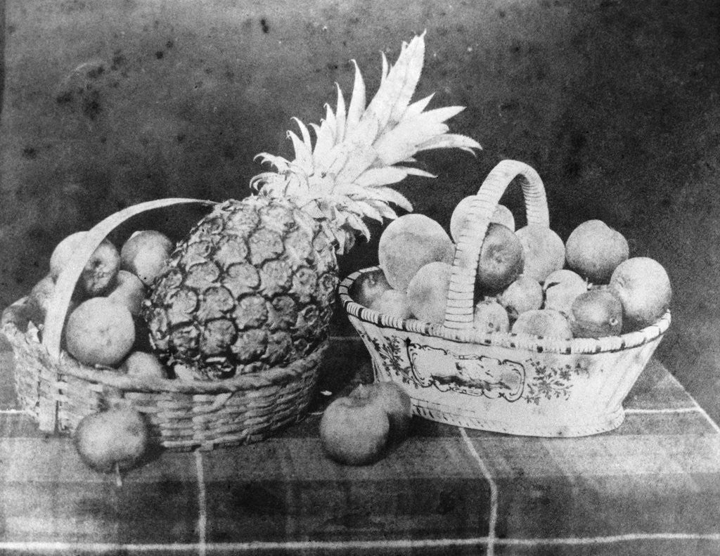Detail of Still Life of Fruit, 1844 by Corbis
