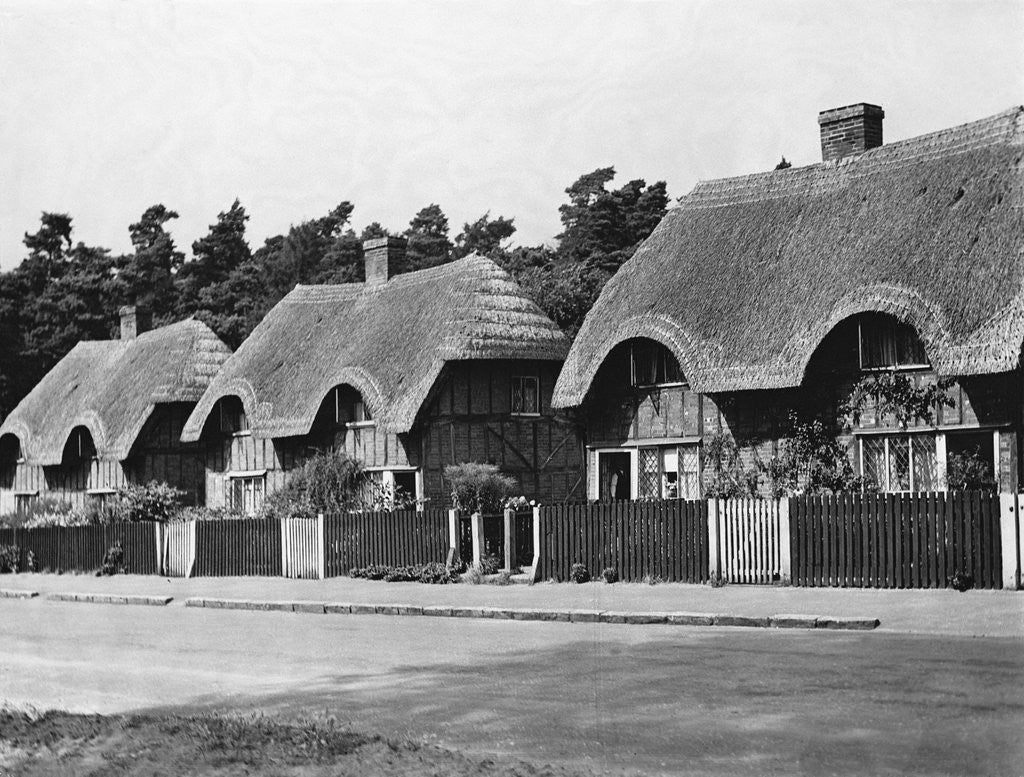 Detail of Thatched Cottages in Ampthill by Anonymous