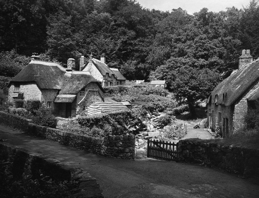 Detail of Thatched Cottages in Buckland-in-the Moor by Anonymous