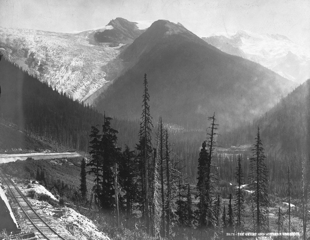 Detail of Canadian Rockies by Anonymous