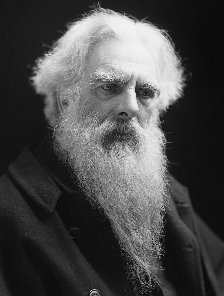 Detail of Eadweard Muybridge by Anonymous