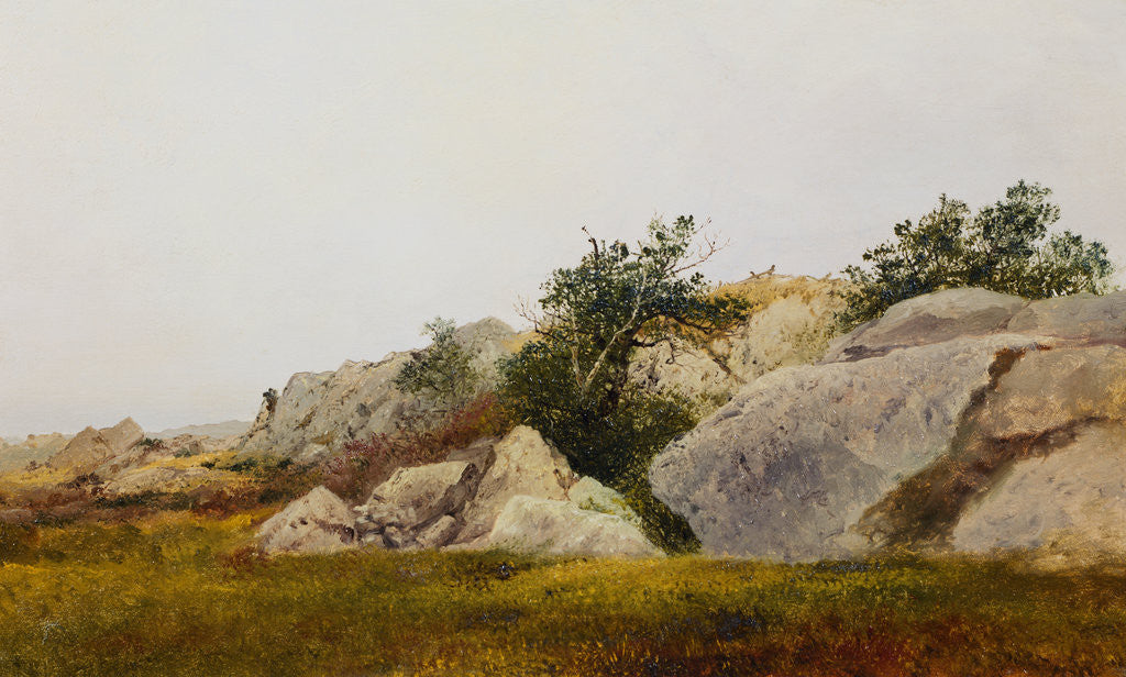 Detail of Rocky Landscape by John Frederick Kensett