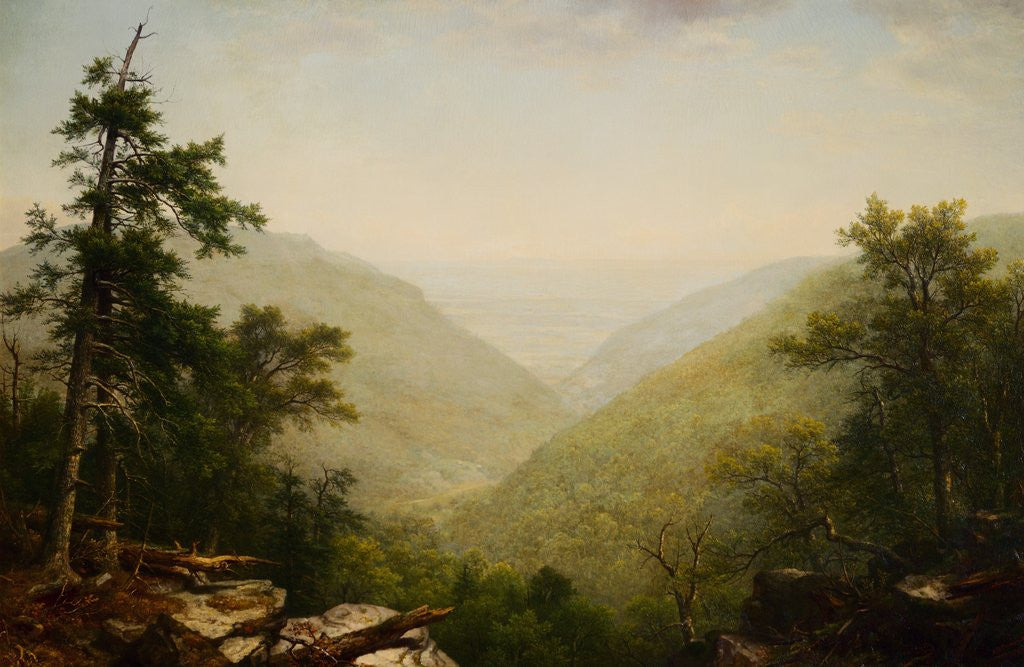 Detail of Kaaterskill Clove by Asher Brown Durand