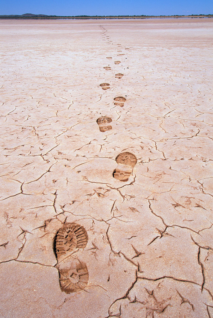 Detail of Bootprints Along Australian Outback by Anonymous