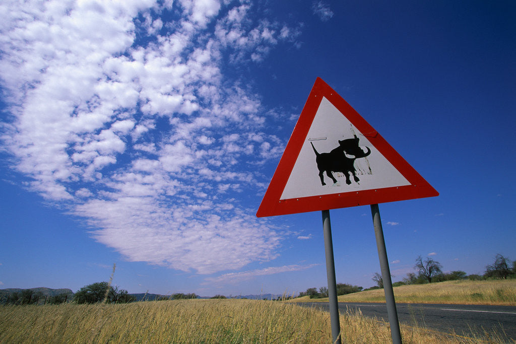Detail of Warthog Crossing Sign by Anonymous