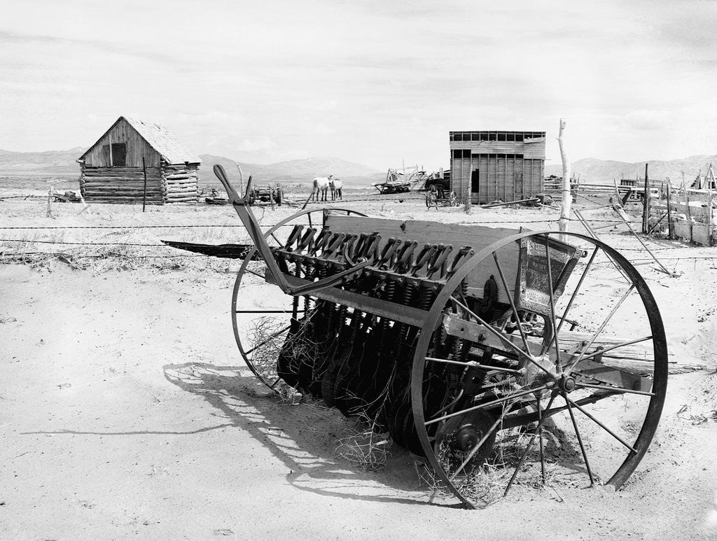 Detail of Dried Up Farm by Anonymous