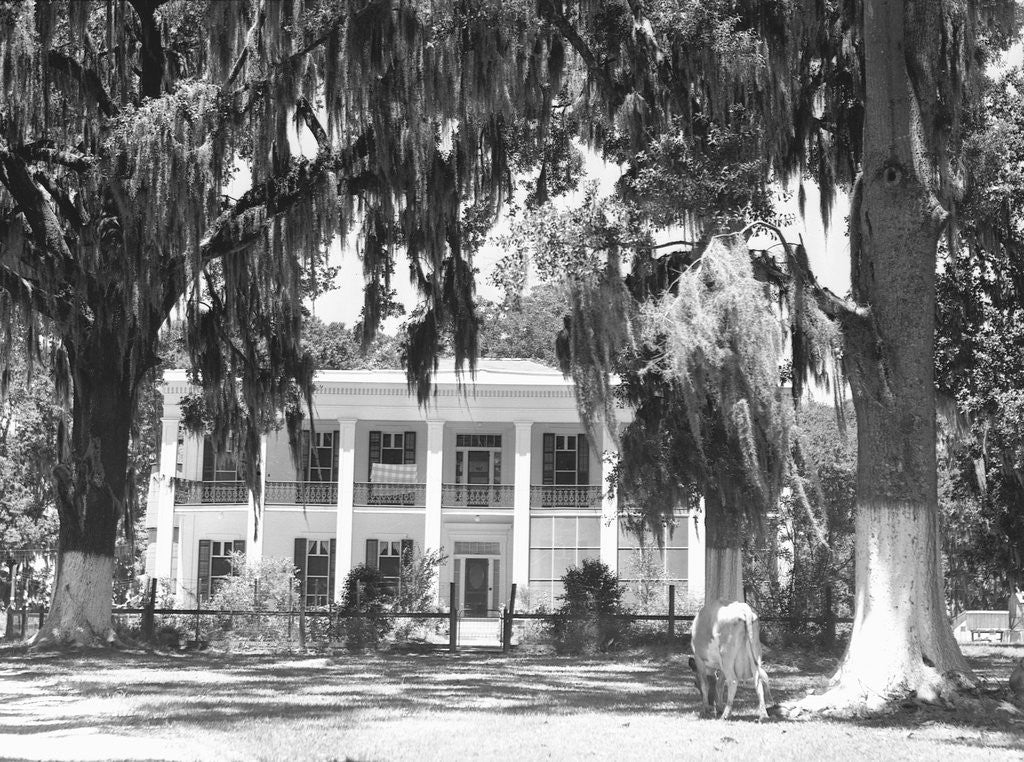 Detail of Jackson Plantation Home by Anonymous