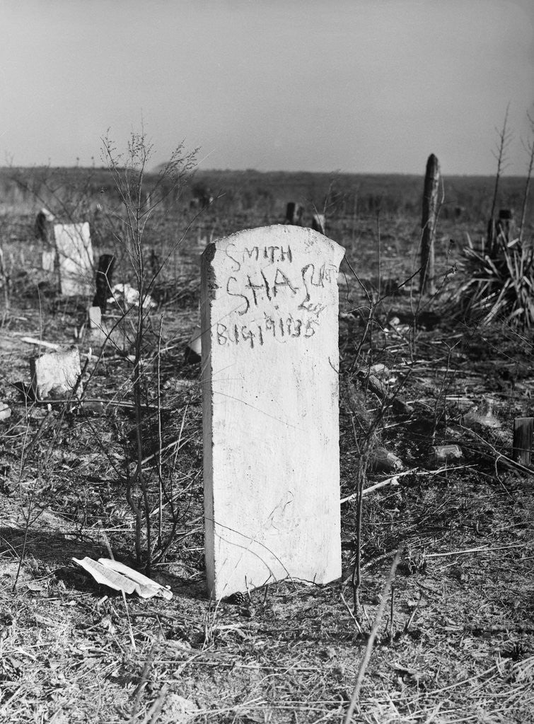 Detail of Abandoned Cemetery by Anonymous