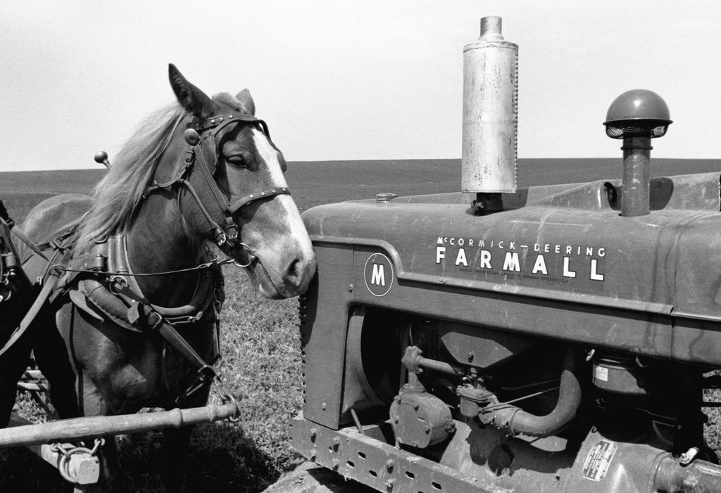 Detail of Horse and Tractor by Anonymous