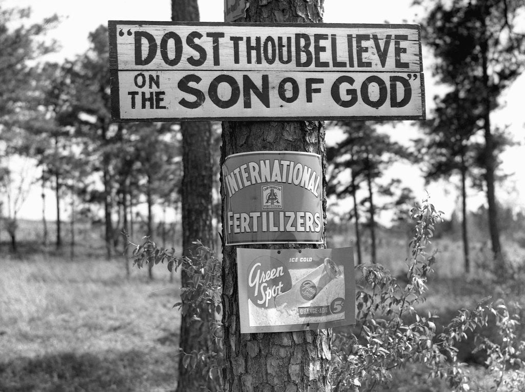 Detail of Signs along Highway by Anonymous