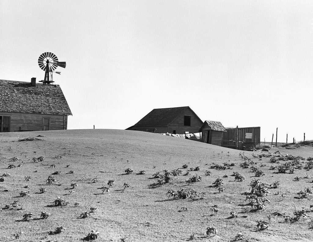 Detail of Dustbowl Farm by Anonymous