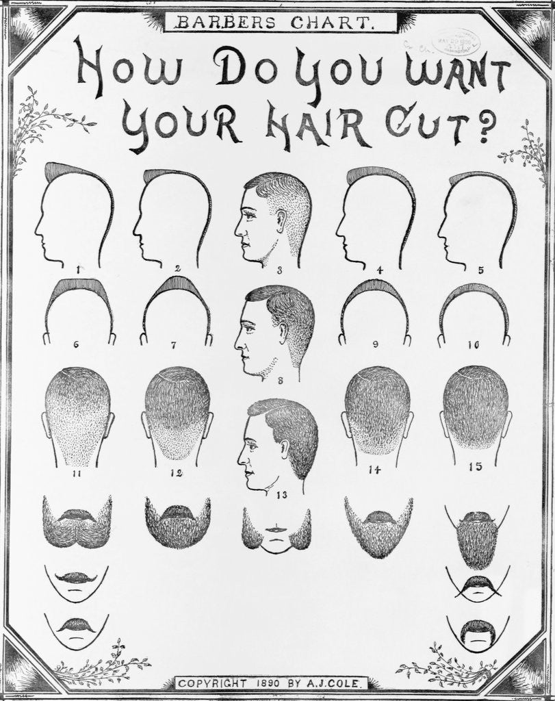 Detail of How Do You Want Your Hair Cut? by A. J. Cole