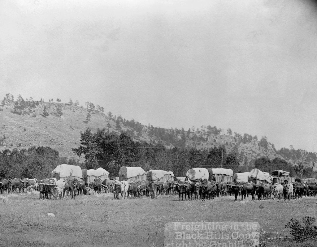 Detail of Wagon Train in the Black Hills by Anonymous