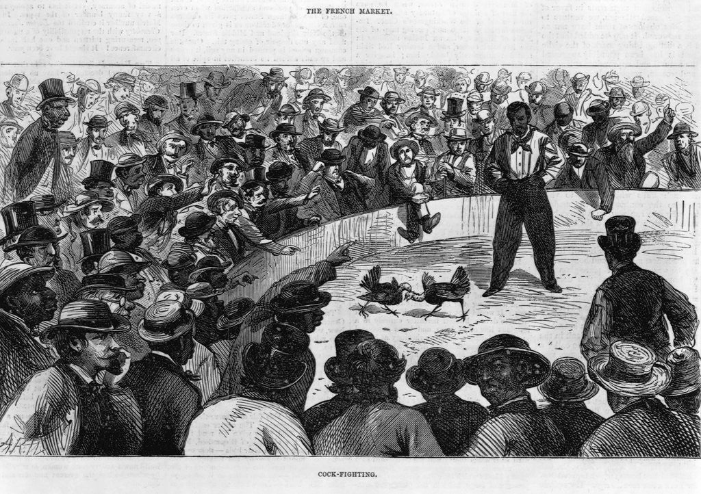 Detail of Cockfighting in New Orleans by Anonymous