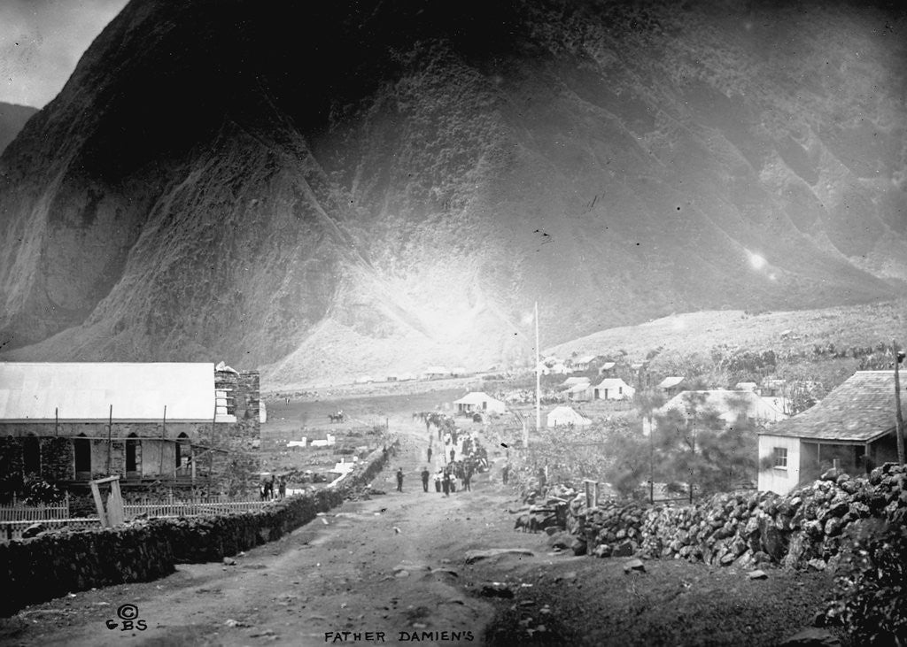 Detail of Father Damien's Funeral by Anonymous