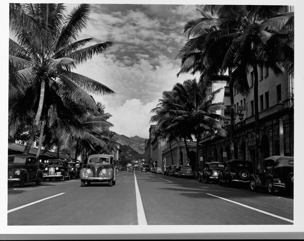 Detail of Street in Honolulu, Hawaii by Anonymous