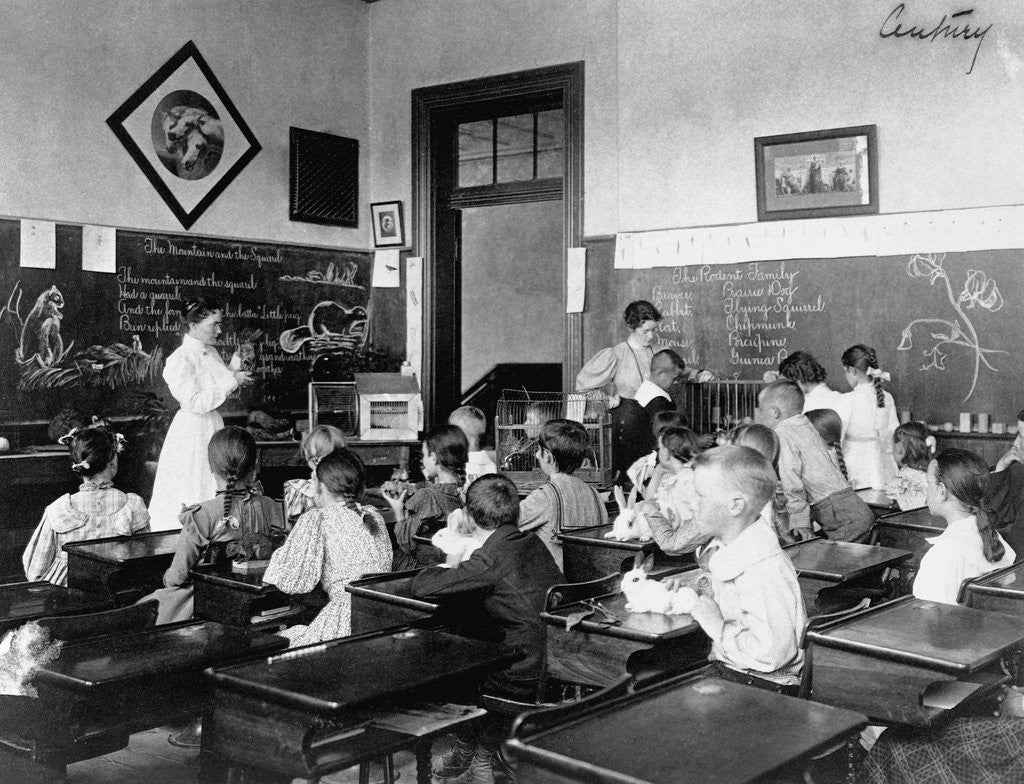 Detail of Class of Schoolchildren in Washington DC by Corbis