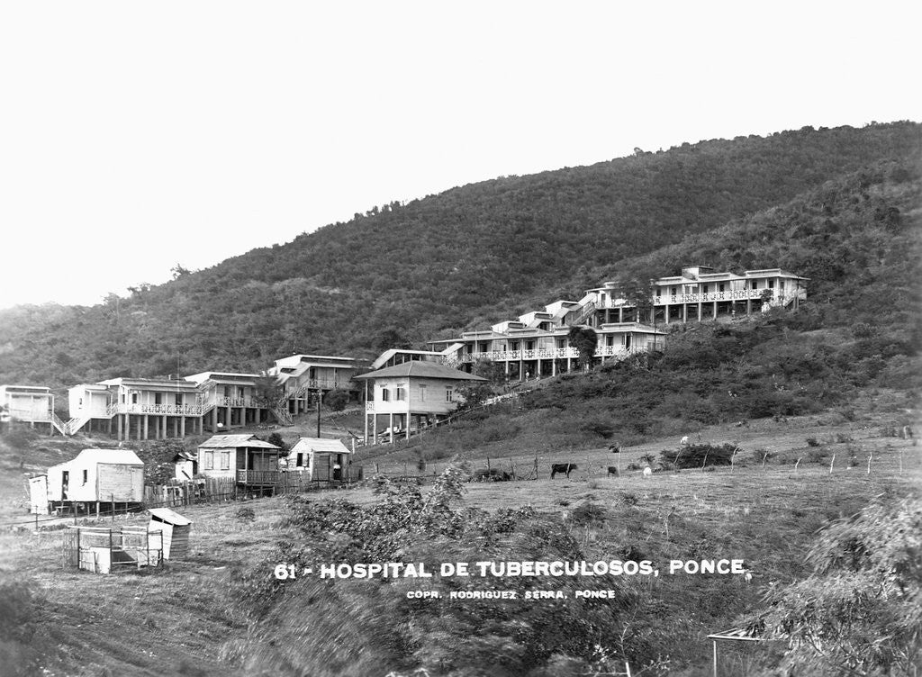 Detail of Puerto Rican Tuberculosis Hospital by Anonymous
