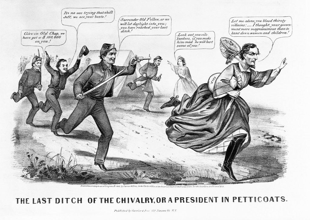 Detail of The Last Ditch of the Chivalry, or a President in Petticoats by Currier & Ives