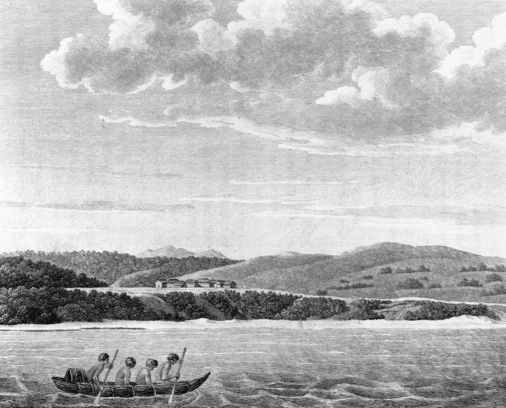 Detail of Bemerkungen auf Einer Reise um die Welt by Geog Heinrich