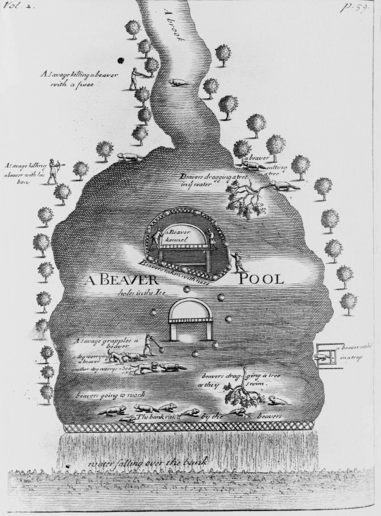 Detail of Engraving of Beaver Pond by Anonymous