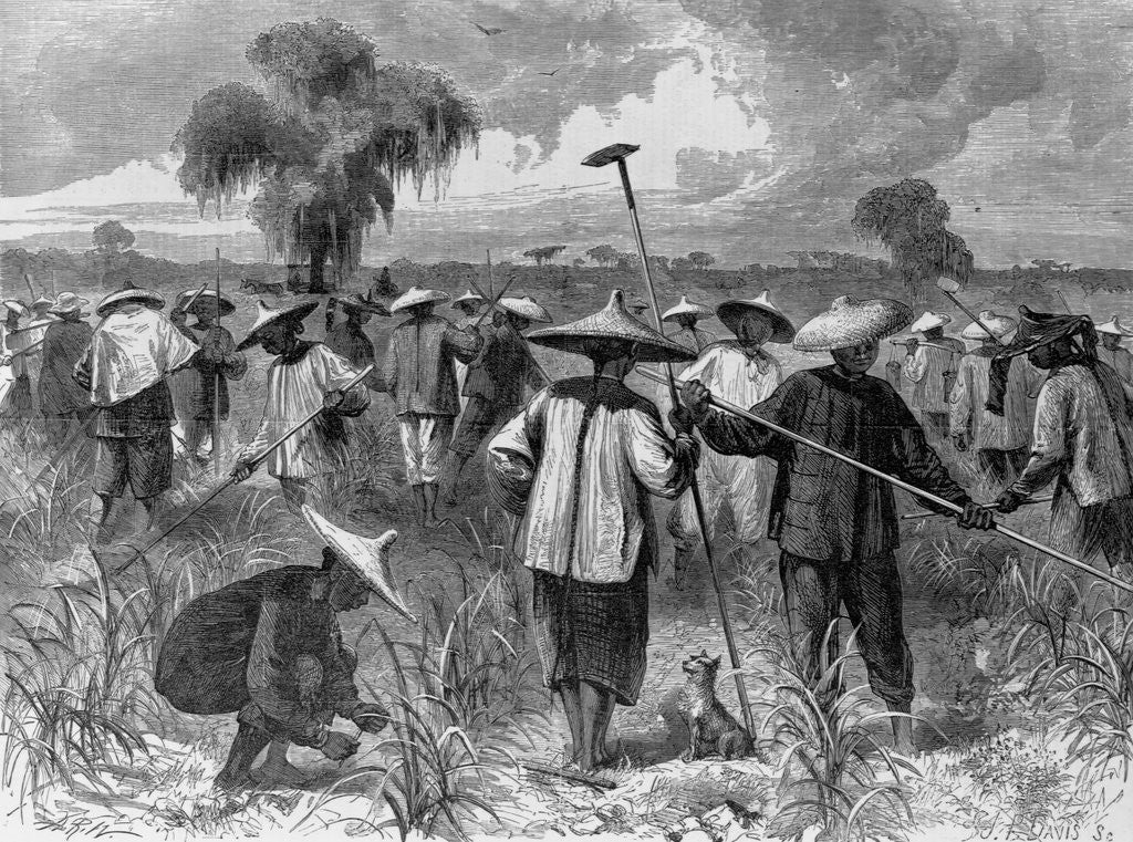 Detail of Workers at a Sugar Plantation by Anonymous