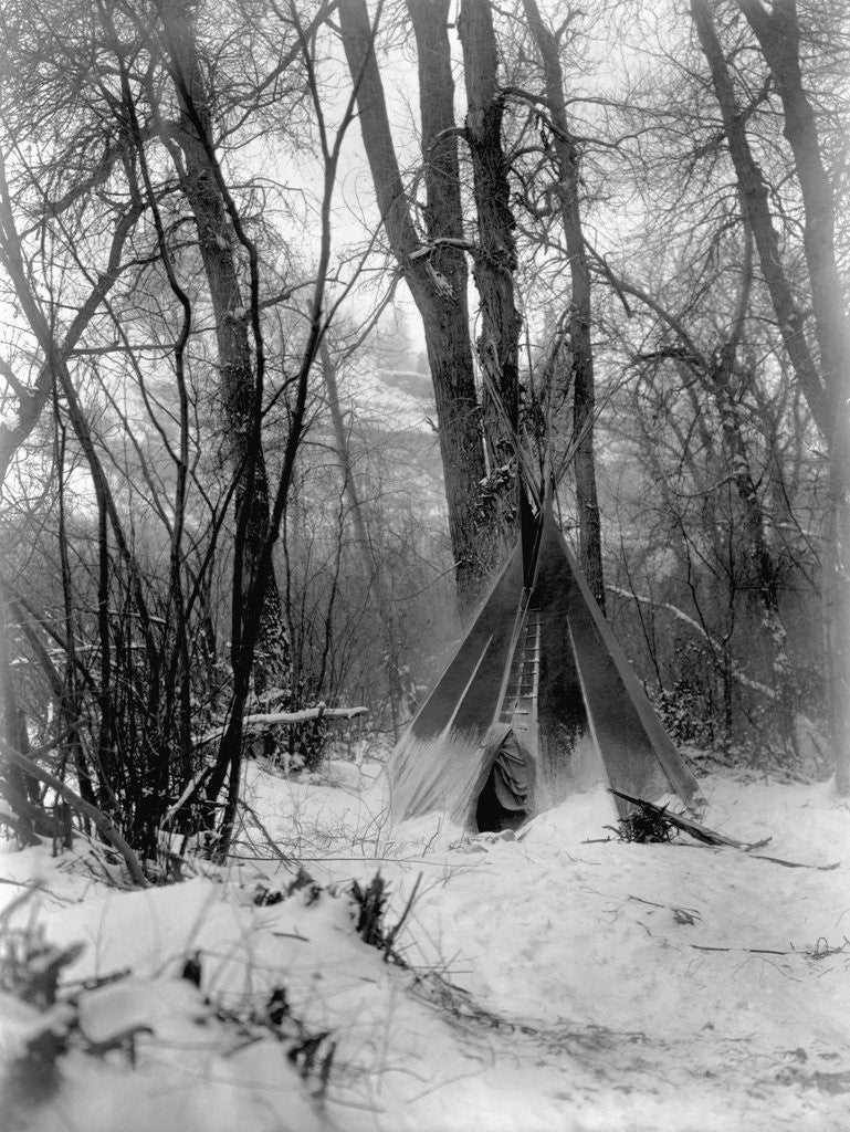 Detail of A tepee in a snow covered forest by E.S Curtis