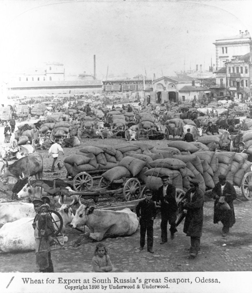 Detail of Exporting Wheat in Odessa by Anonymous