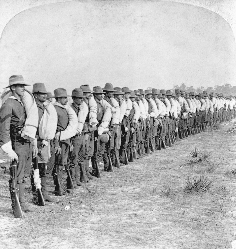 Detail of Troop D of the 