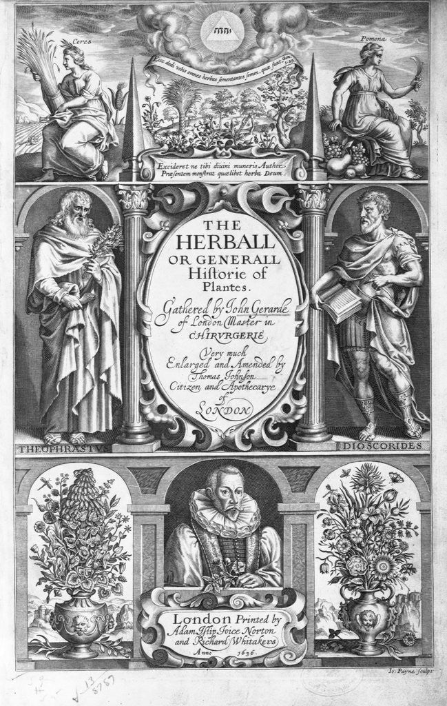 Detail of Illus. title page of The Herball or Generall Historie of Plantes by Anonymous