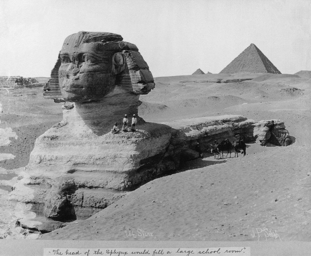 Detail of The Great Sphinx in the Desert by Anonymous