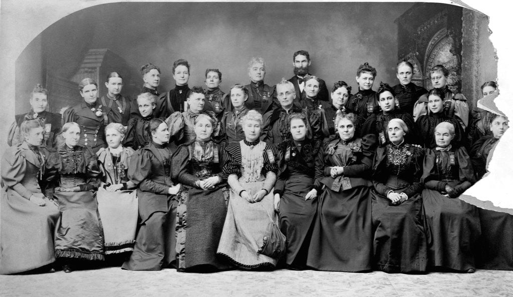 Detail of National Council of Women of the United States, 1895 by Anonymous
