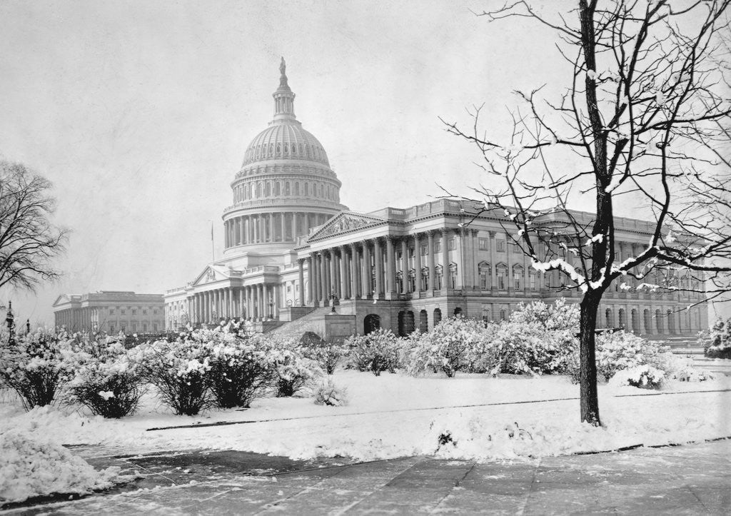 Detail of U. S. Capitol in Winter by Anonymous