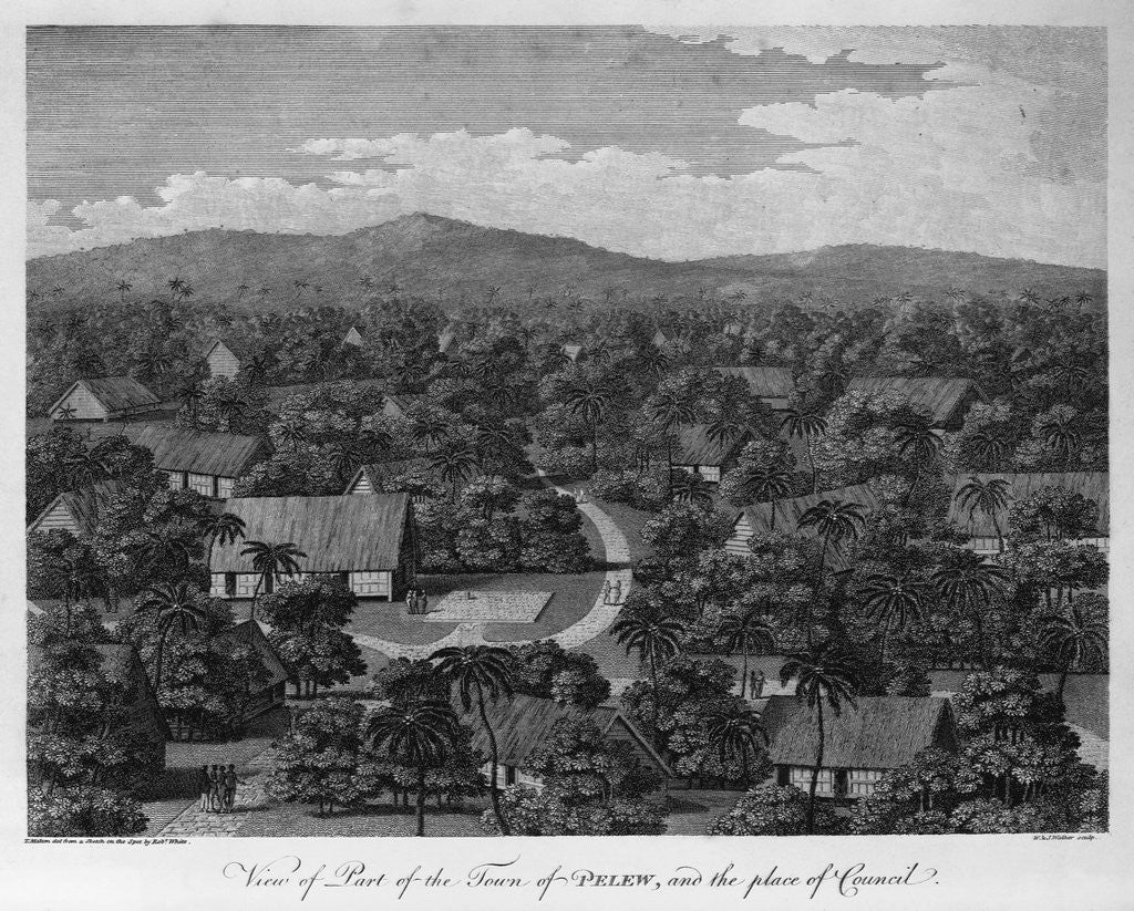 Detail of View of Part of the town of Pelew, and the Place of Council by W. & J. Walker