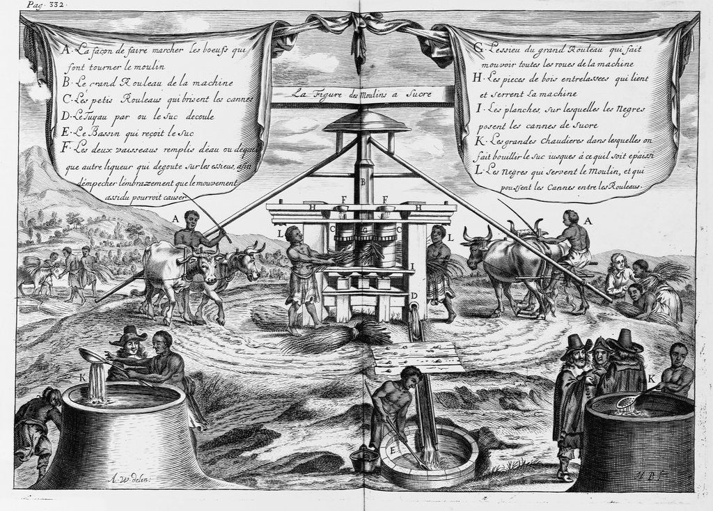 Detail of Engraving Sugar Manufacture in the Antilles Islands by Anonymous