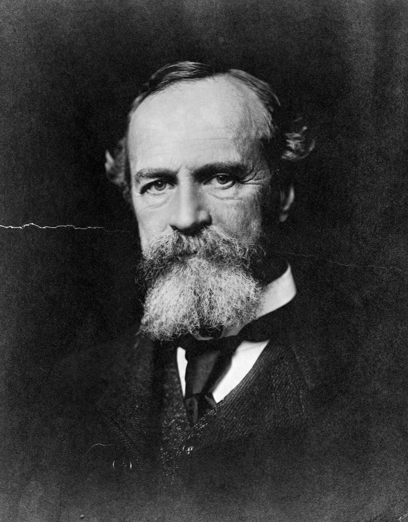 Detail of Philosopher William James by Anonymous