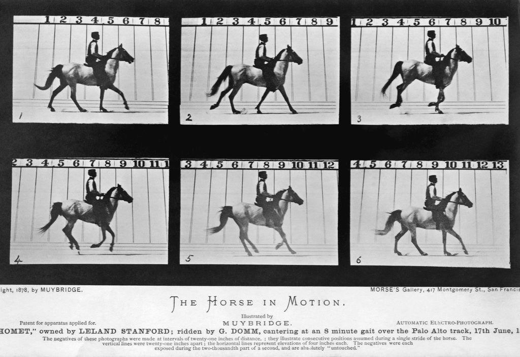 Detail of THe Horse In Motion Illustrated In Maybridge by Anonymous