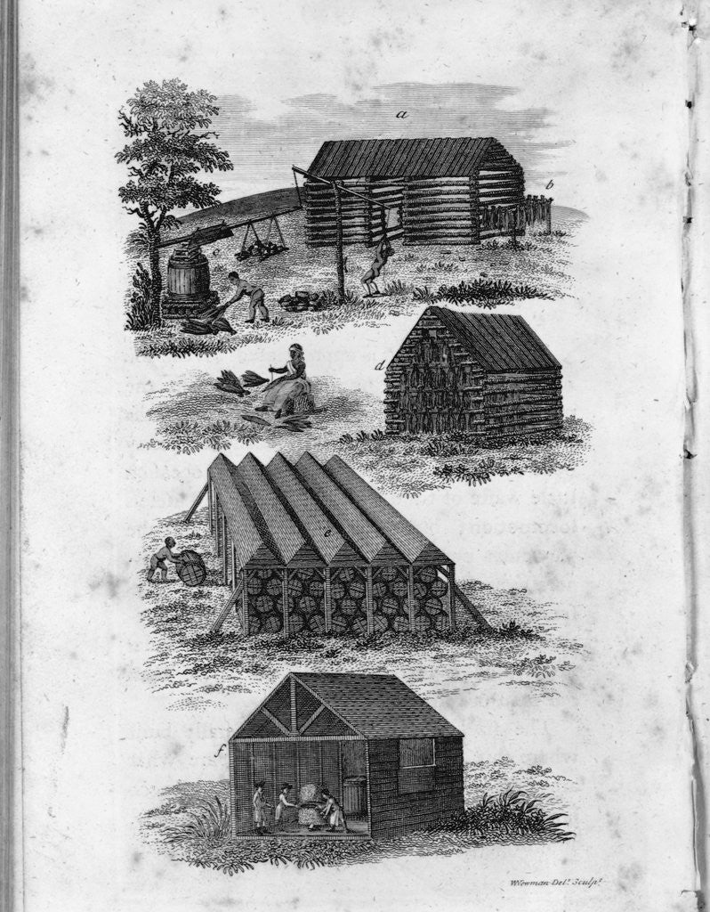 Detail of Eighteenth Century Illustration of Curing, Airing, and Storing Tobacco by Anonymous