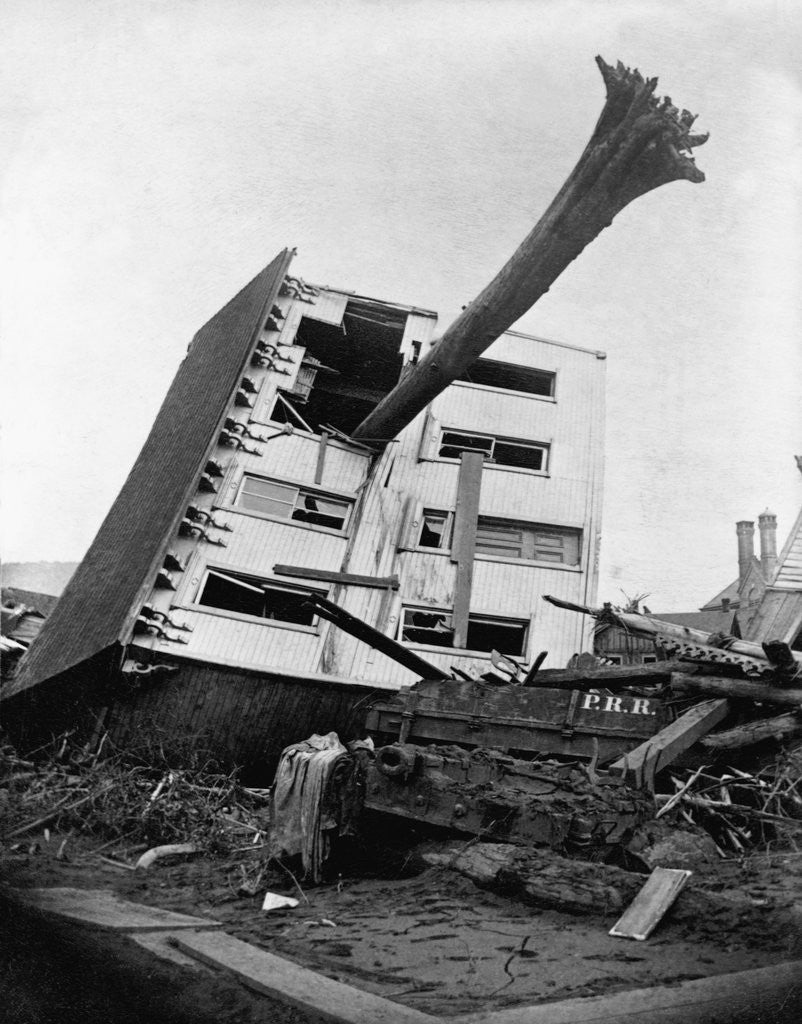 Detail of House Impaled by a Tree by Anonymous