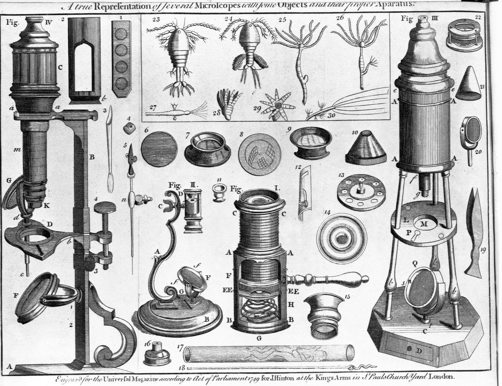 Detail of Eighteenth Century English Engraving Assorted Microscopes and Apparatus by Anonymous
