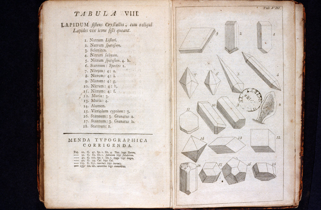 Detail of Systema Naturae. 1756 by Anonymous