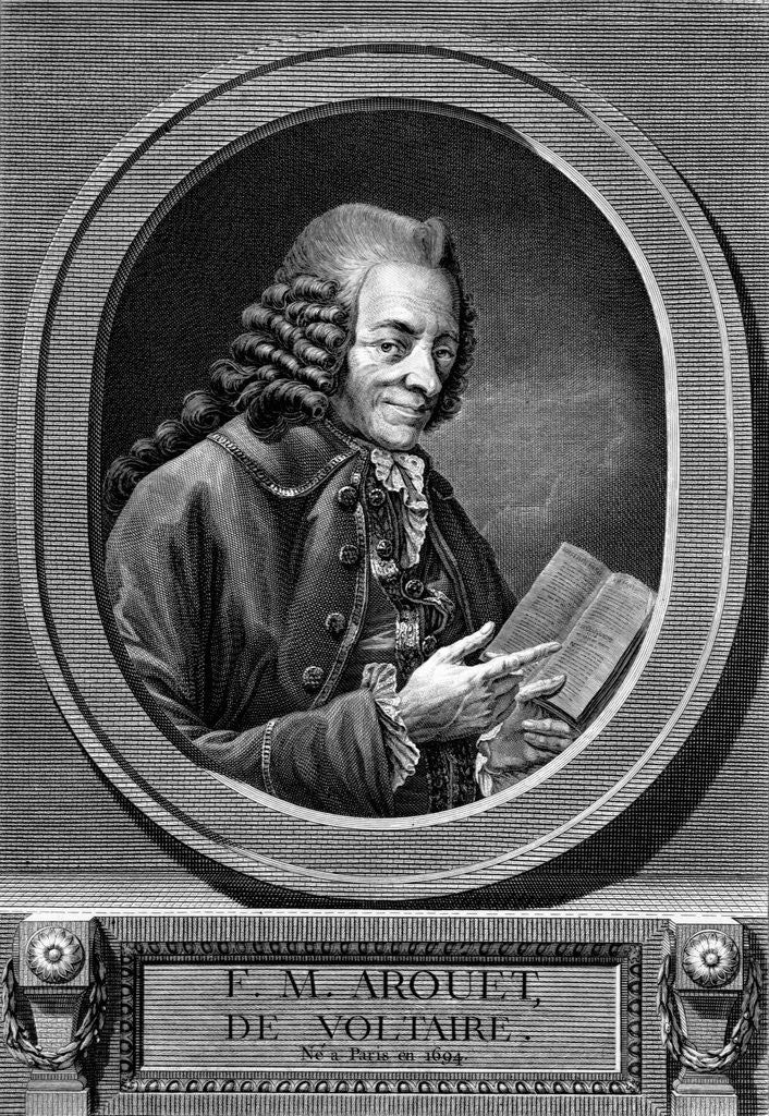 Detail of F.M. Arouet, de Voltaire by Benoit-Louis Henriquez