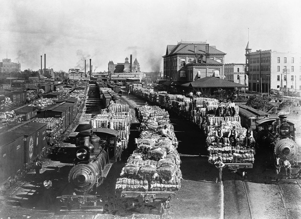 Detail of Trains Full of Cotton in Texas by Corbis