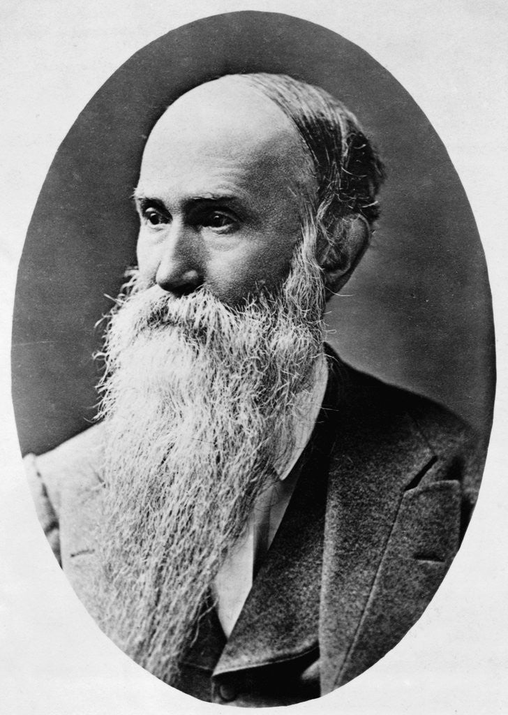 Detail of Former Confederate General Jubal Anderson Early by Anonymous