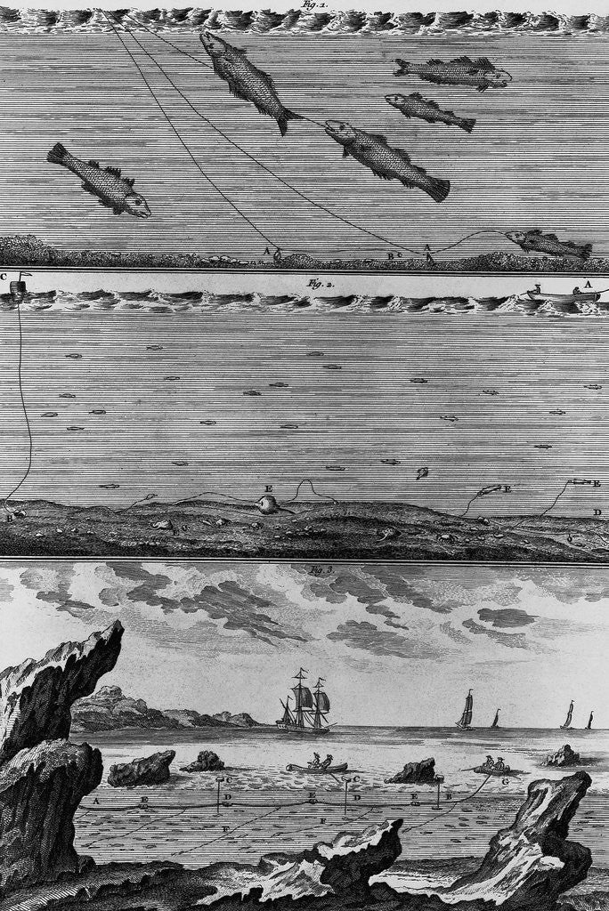 Detail of Engraving of Cod Fishing by Anonymous