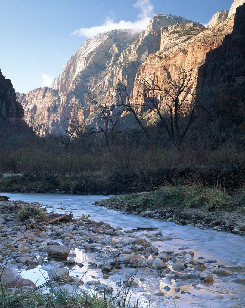Detail of Virgin River in Zion Canyon by Anonymous
