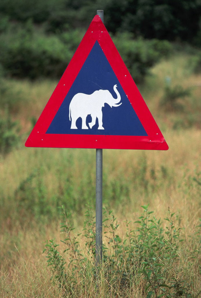 Detail of Elephant Crossing Sign by Anonymous