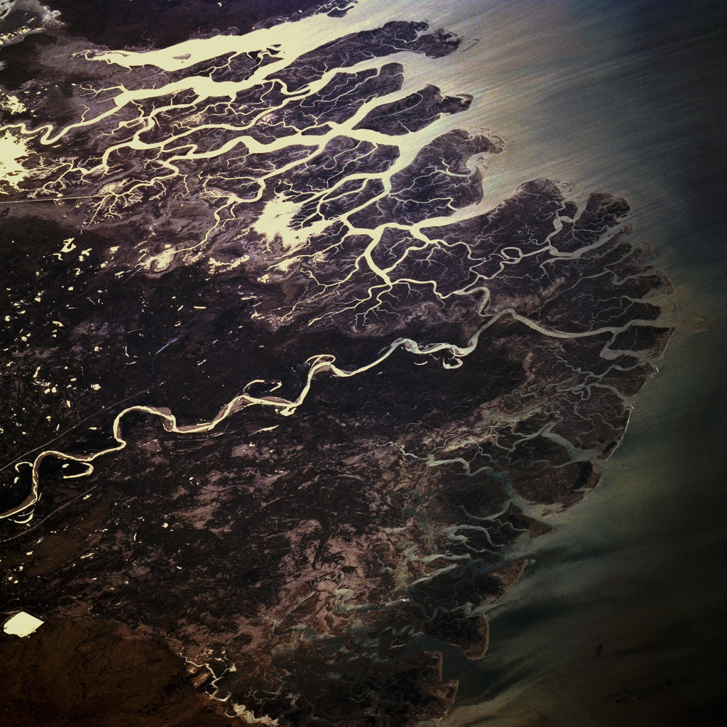 Detail of Indus River Delta by Anonymous