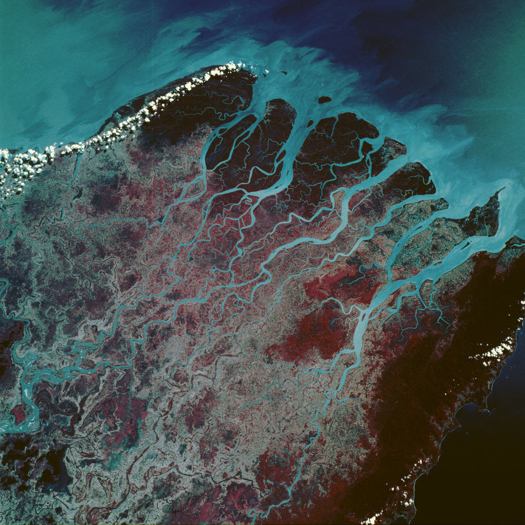 Detail of Low-Earth-Orbit View of the Irrawaddy River by Anonymous