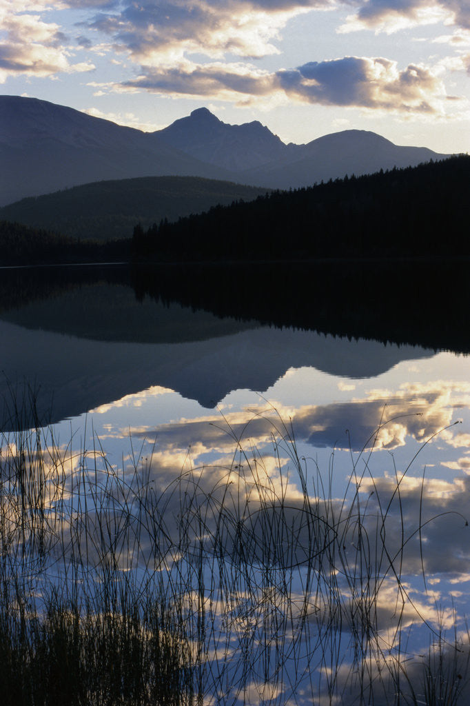 Detail of Sky and Clouds Reflecting In Patricia Lake by Corbis